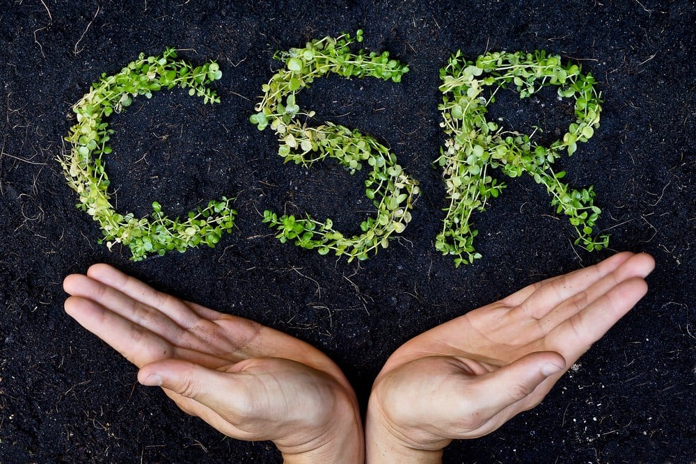Corporate Social Responsibility in the age...